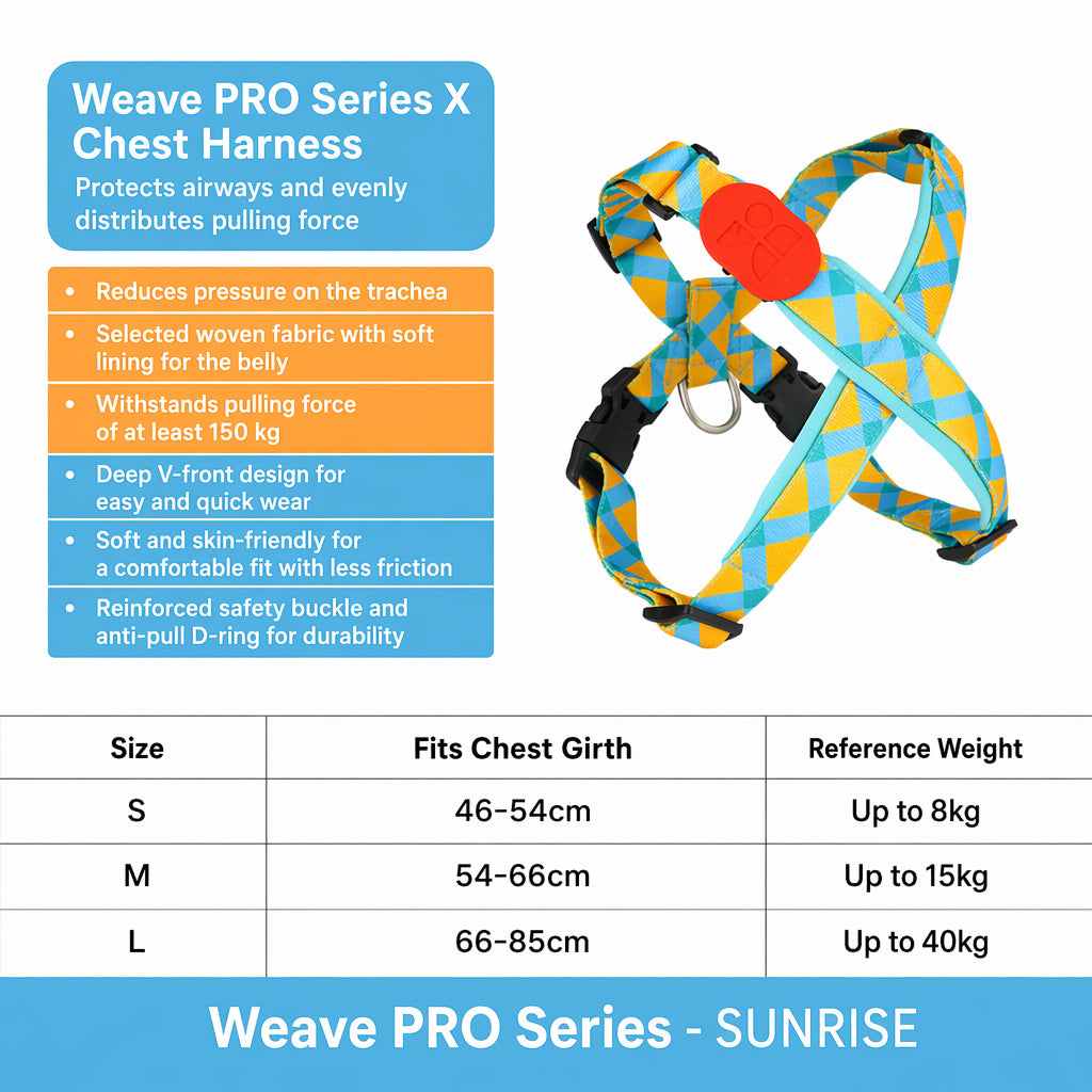 Anti-shock Harness Leash Set