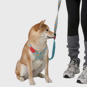 Anti-shock Harness Leash Set