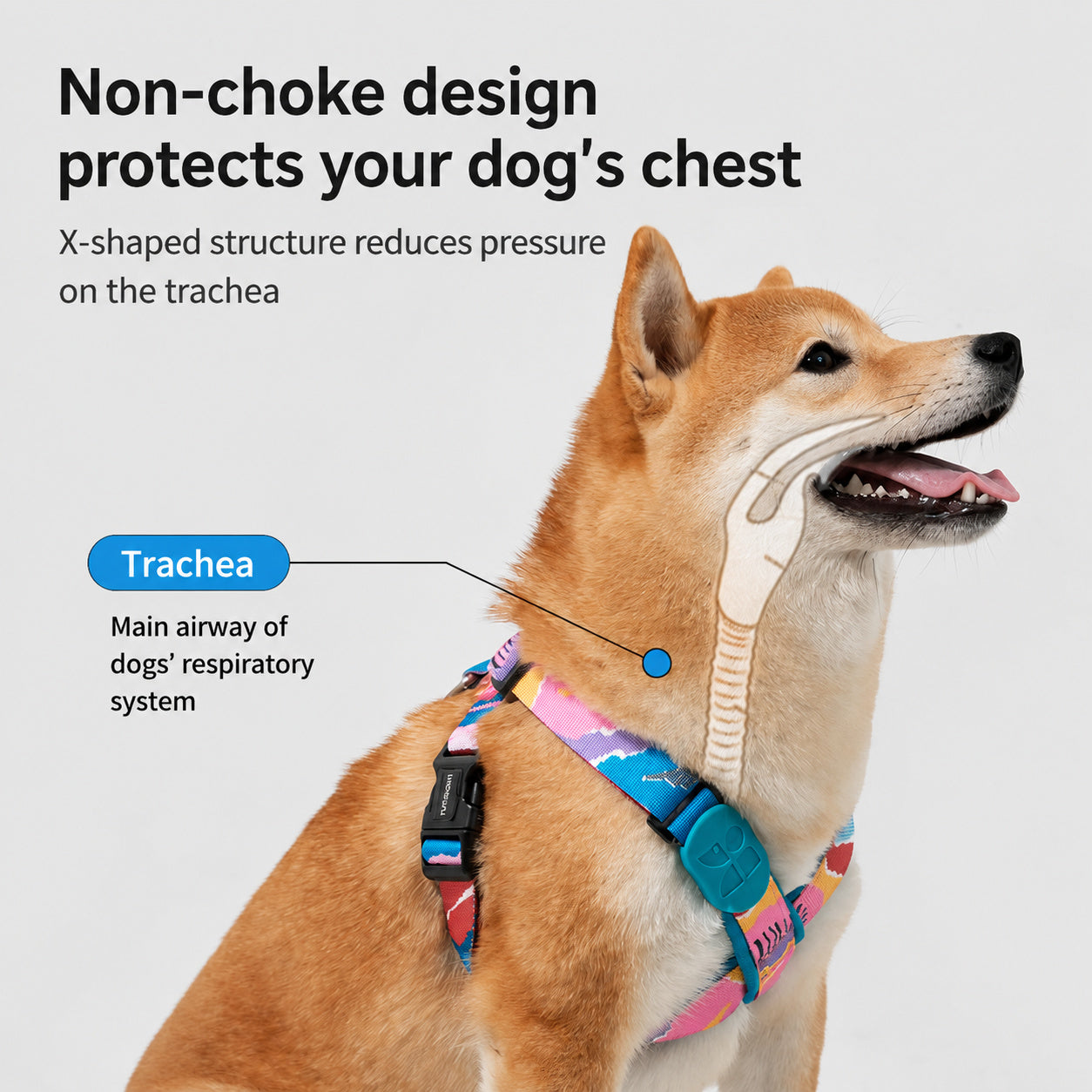 Anti-shock Harness Leash Set