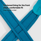 Anti-shock Harness Leash Set