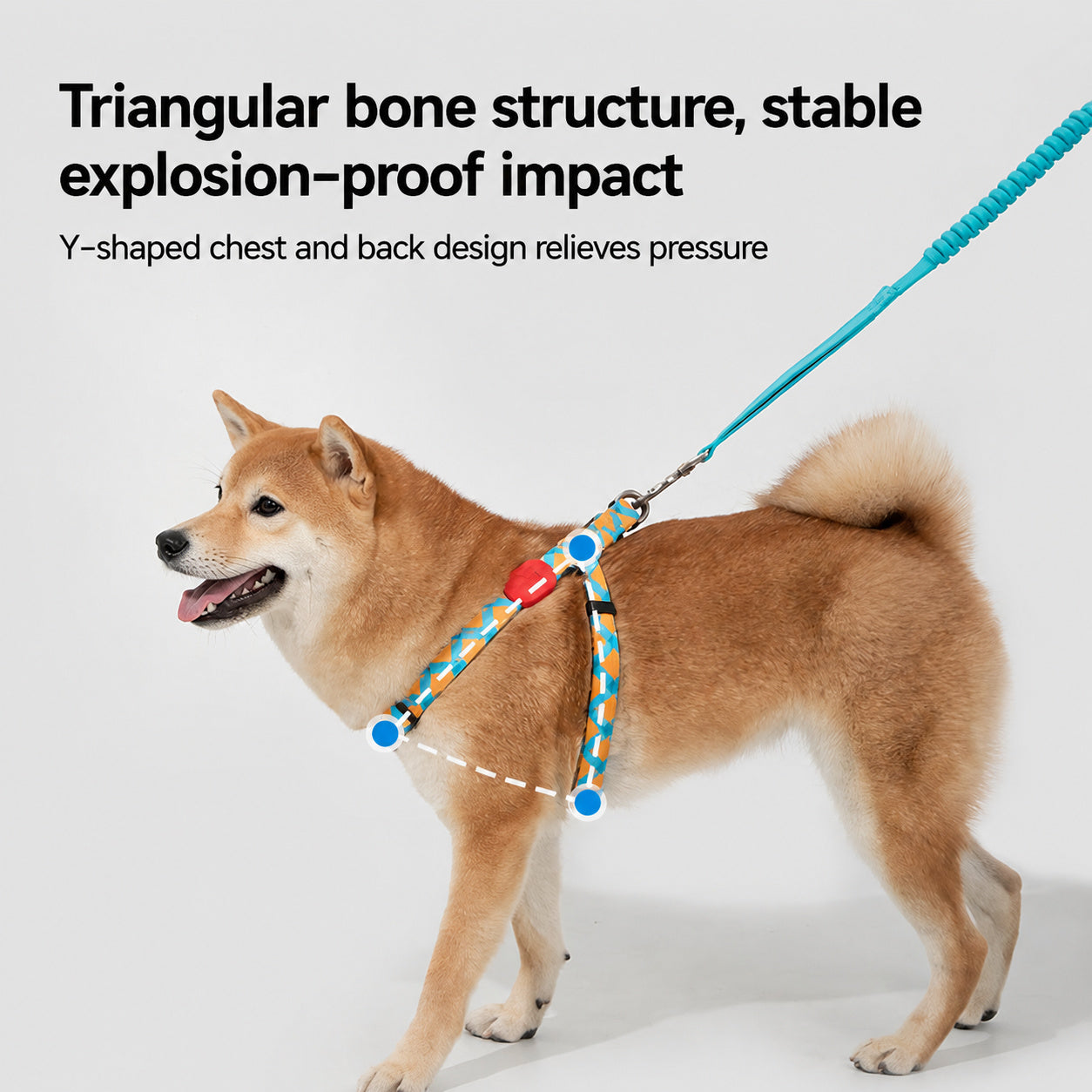 Escape-proof Y Harness