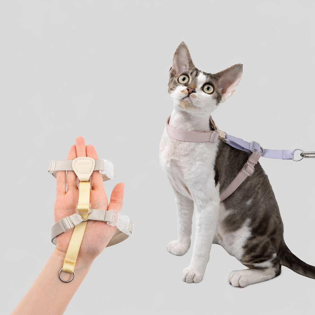 I-shape Cat Harness Leash