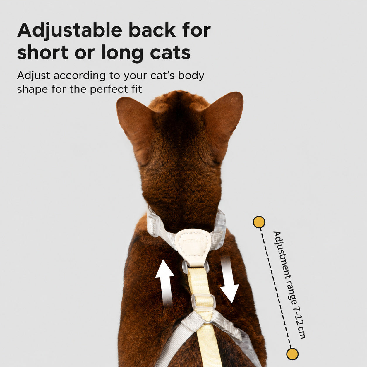 I-shape Cat Harness Leash