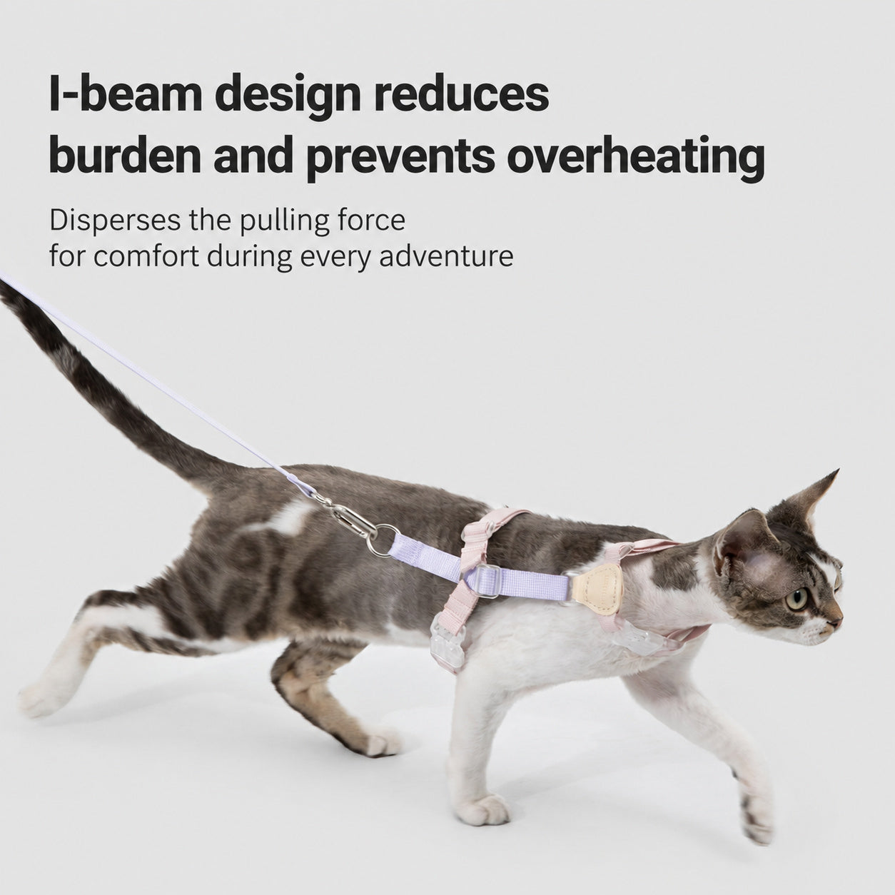 I-shape Cat Harness Leash