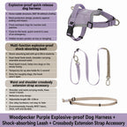 Hands‑Free Dual‑Clip Dog Leash