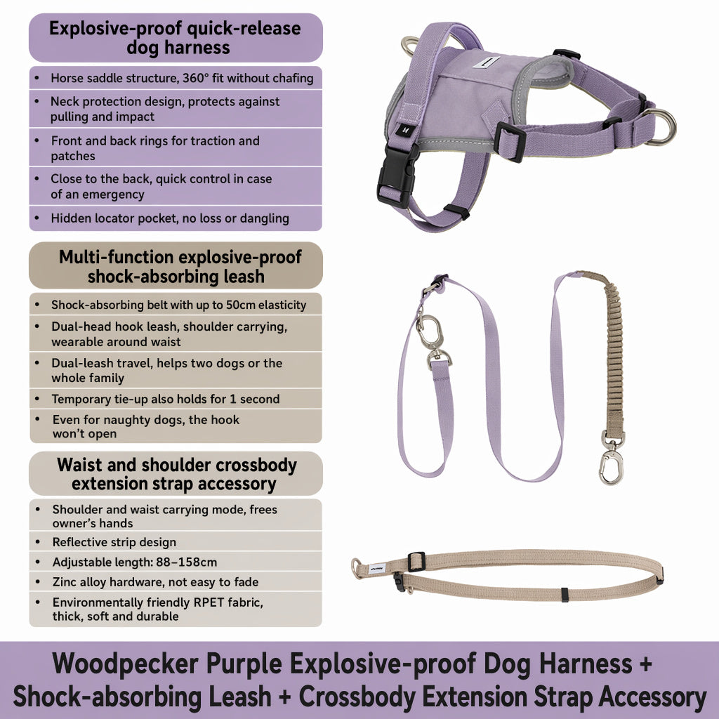 Hands‑Free Dual‑Clip Dog Leash