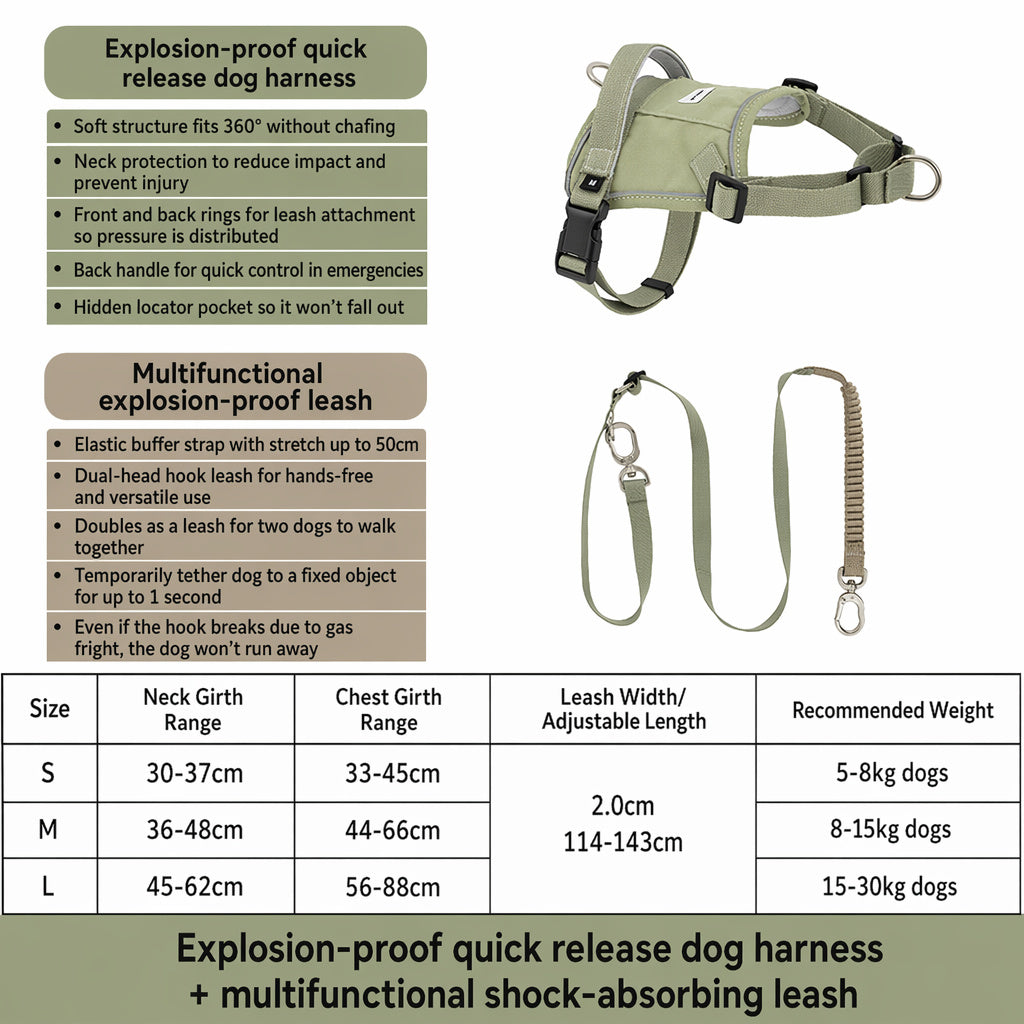 Hands‑Free Dual‑Clip Dog Leash
