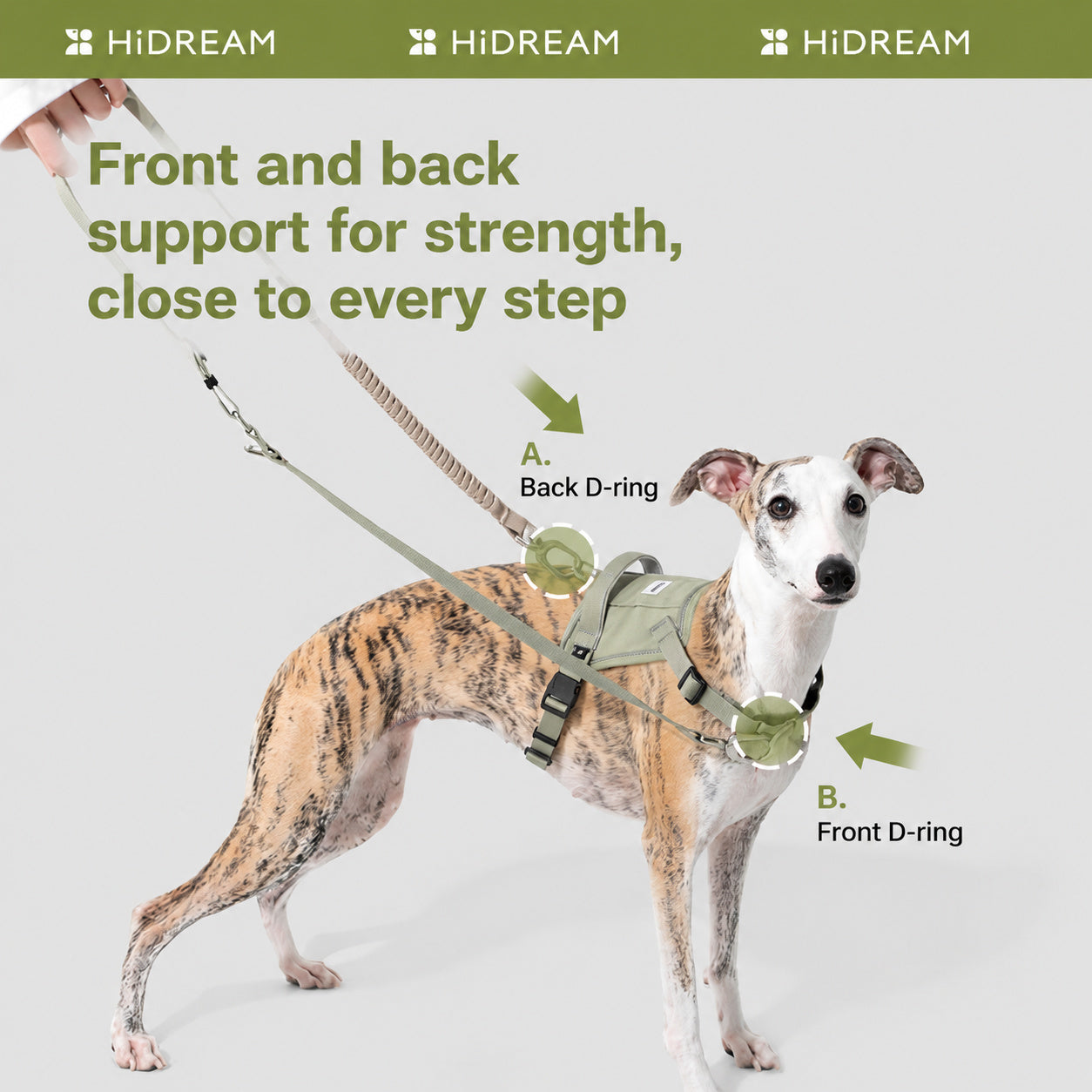Hands‑Free Dual‑Clip Dog Leash