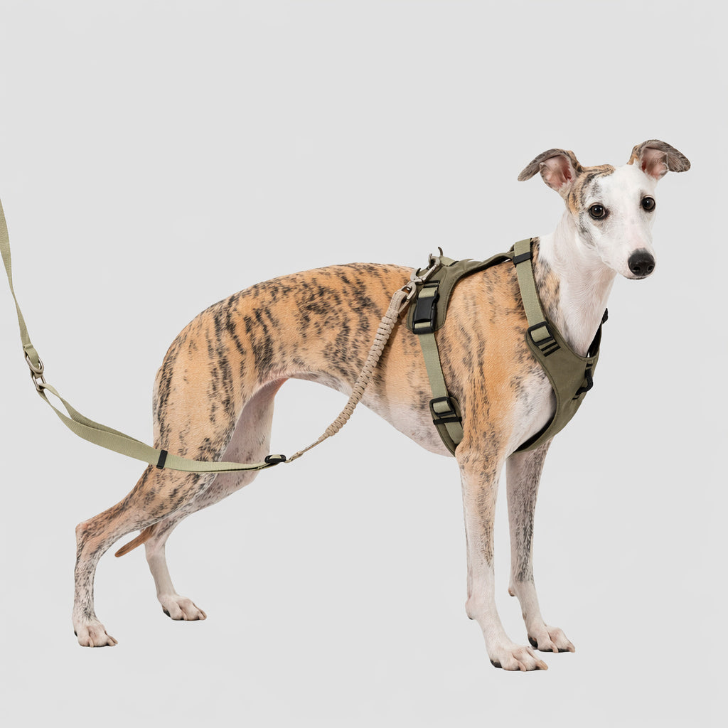 Breathable Mesh No-pull Harness