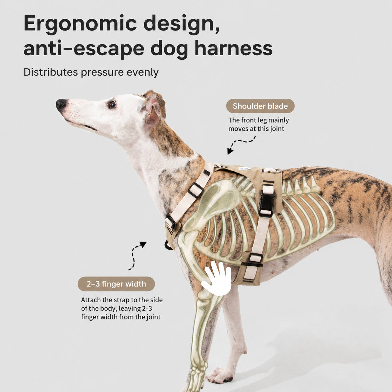 Breathable Mesh No-pull Harness