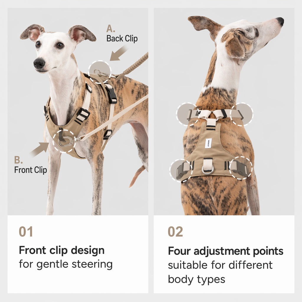 Breathable Mesh No-pull Harness