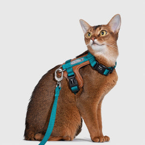 Adjustable Padded Cat Harness Set
