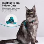 Adjustable Padded Cat Harness Set