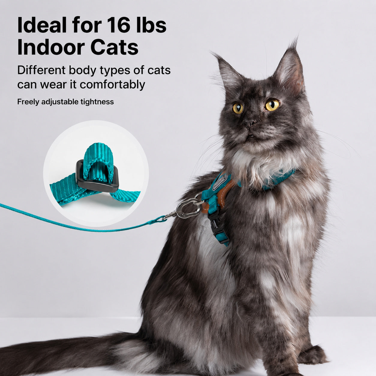 Adjustable Padded Cat Harness Set