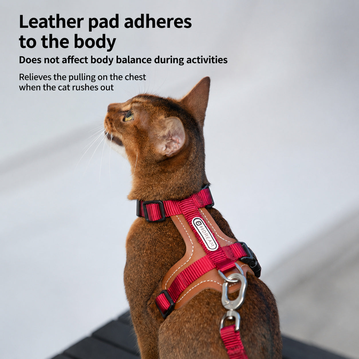 Adjustable Padded Cat Harness Set