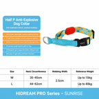 Vibrant Half-choke Leash Set