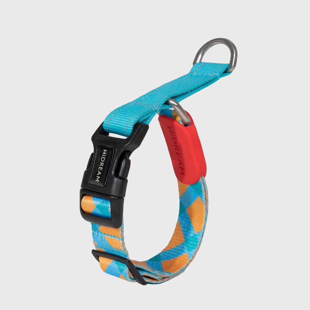 Vibrant Half-choke Leash Set