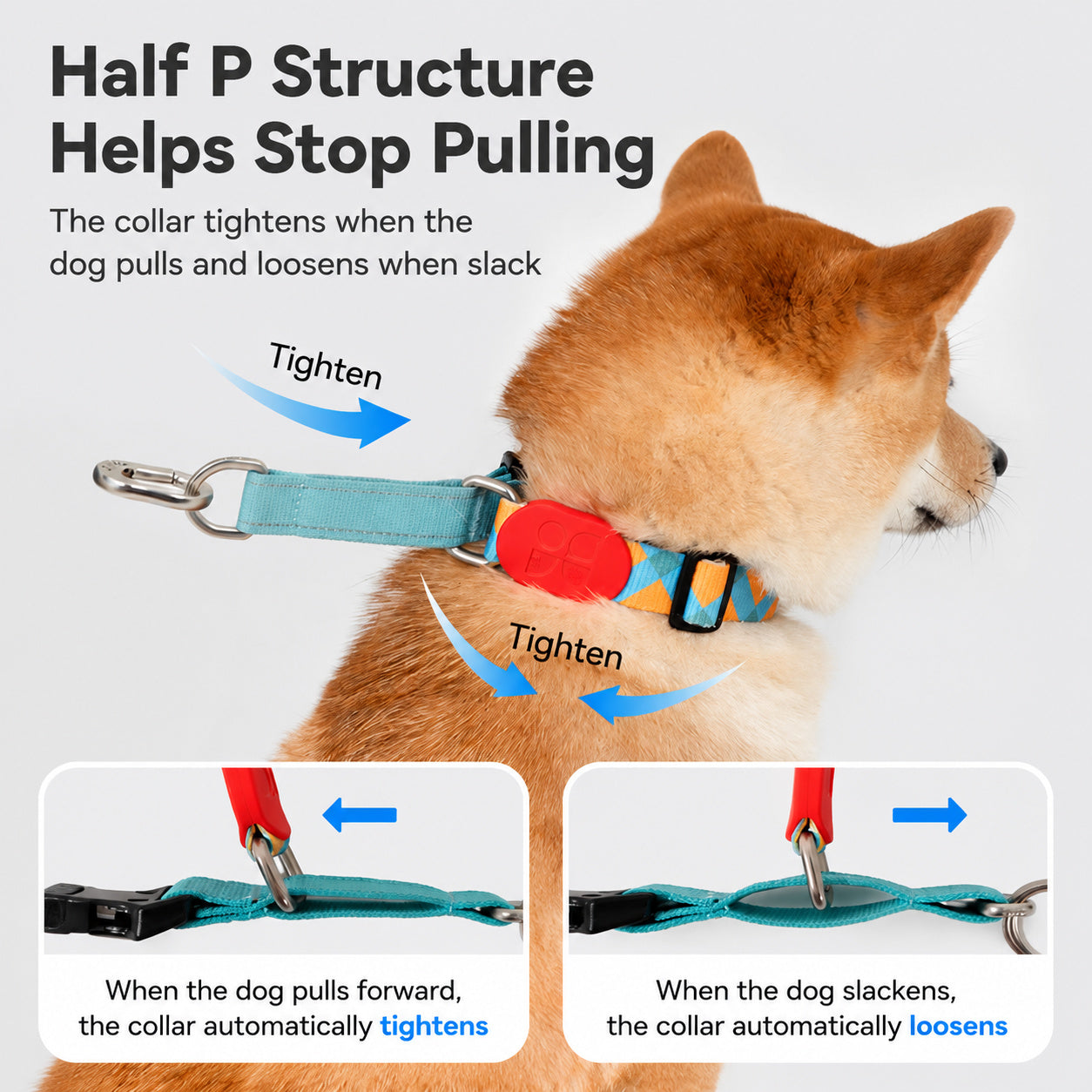 Vibrant Half-choke Leash Set