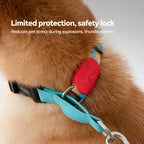 Vibrant Half-choke Leash Set