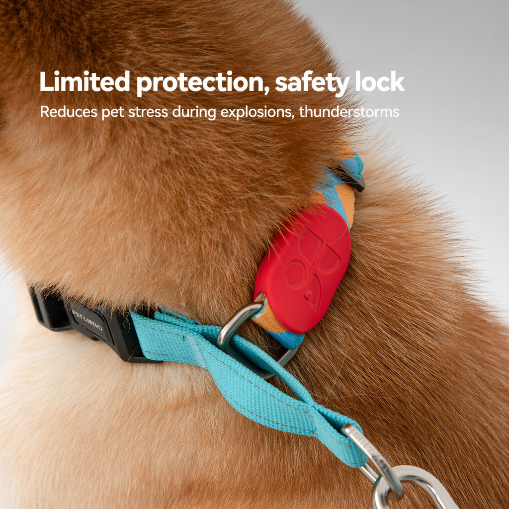 Vibrant Half-choke Leash Set