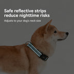 Vibrant Half-choke Leash Set
