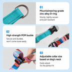 Vibrant Half-choke Leash Set