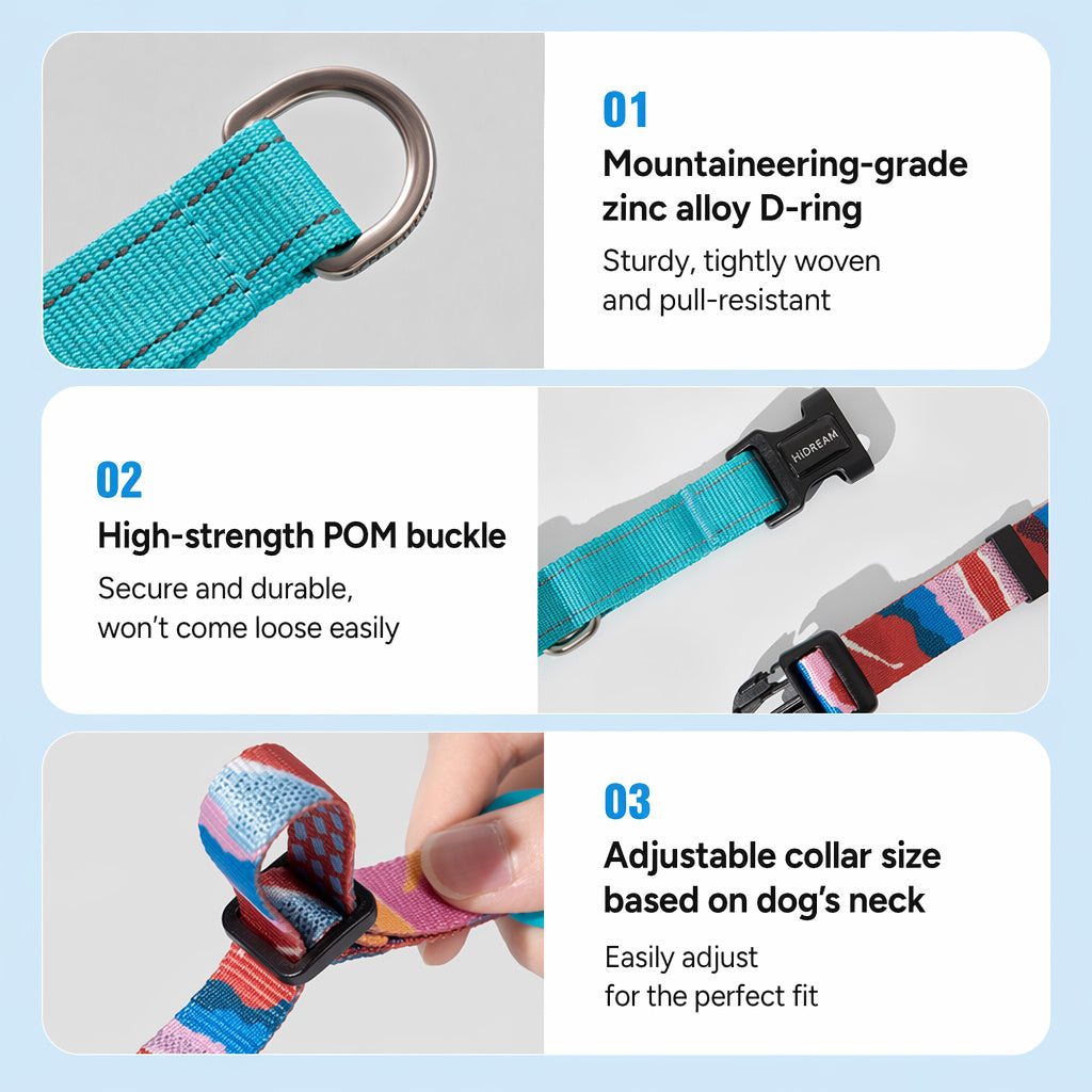 Vibrant Half-choke Leash Set