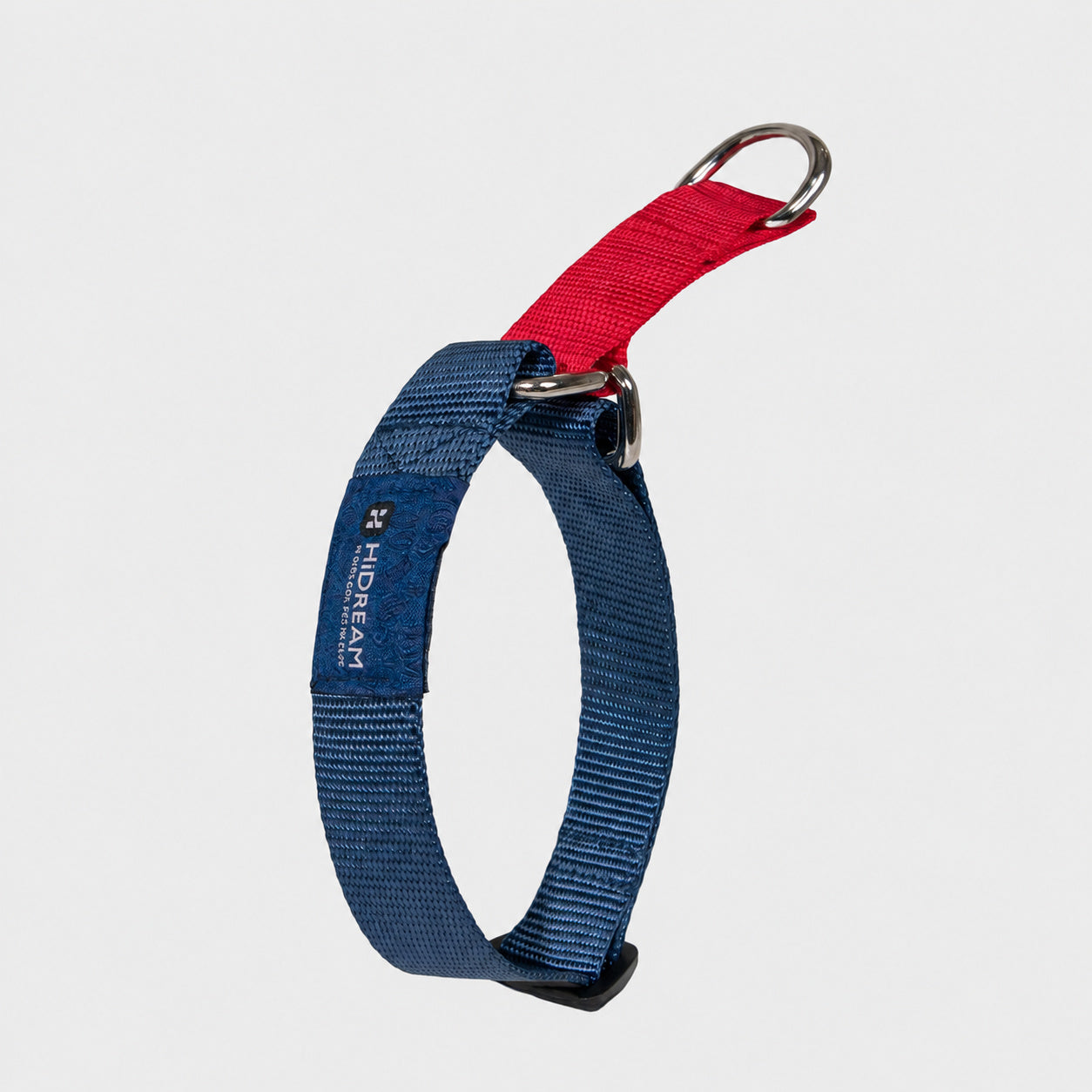 Colorblock Martingale Leash Set