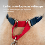 Colorblock Martingale Leash Set