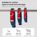 Colorblock Martingale Leash Set