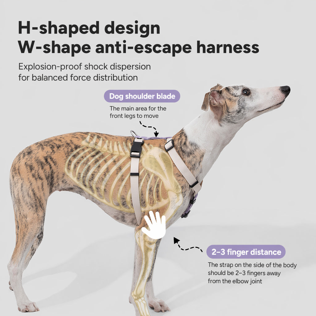 Featherlight Escape-proof Harness