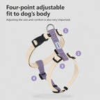 Featherlight Escape-proof Harness