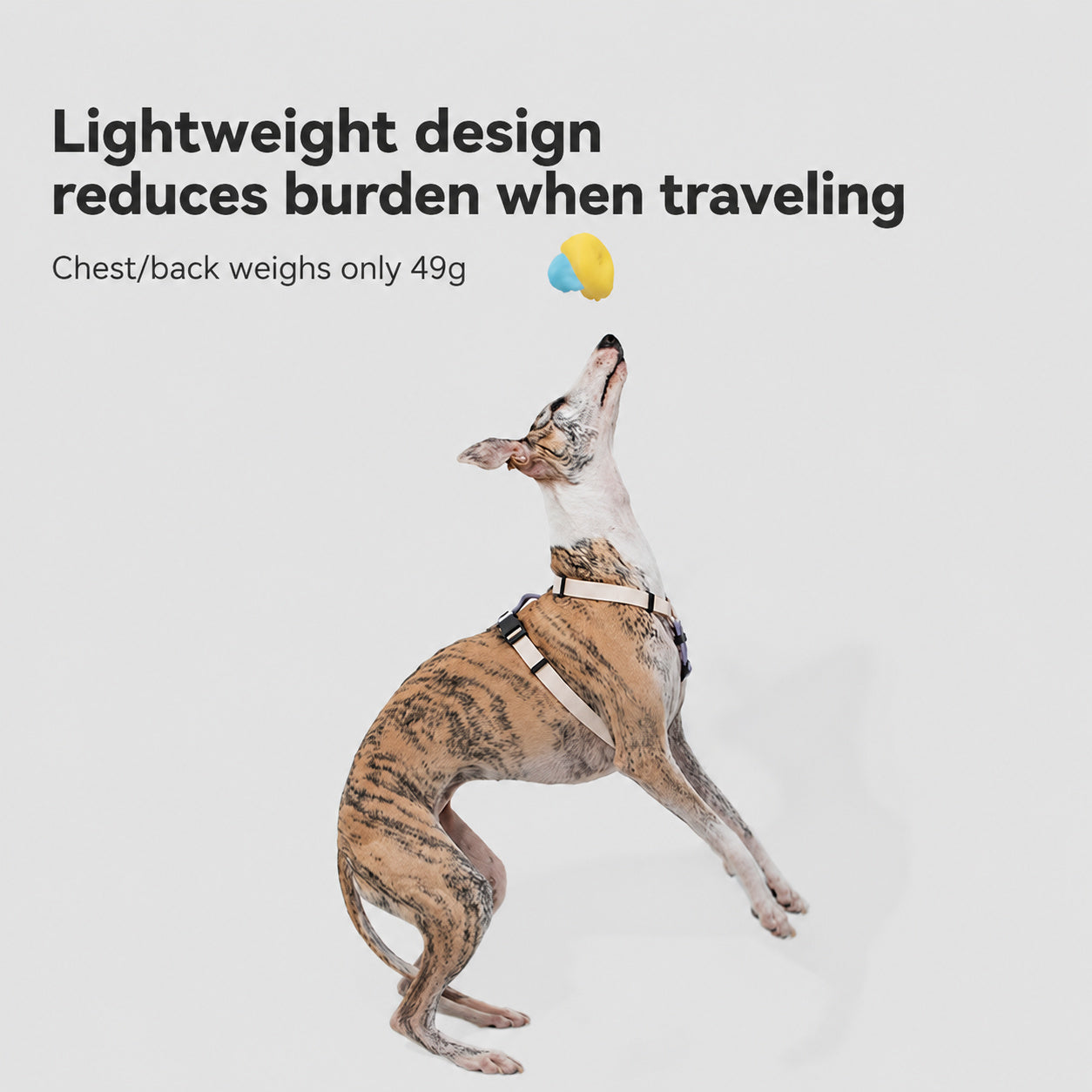 Featherlight Escape-proof Harness