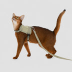 Armor Cat Harness With Pocket