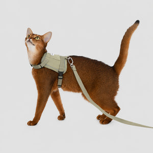 Armor Cat Harness With Pocket