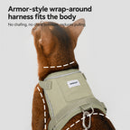 Armor Cat Harness With Pocket