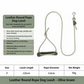 Locking Carabiner Rope Leash