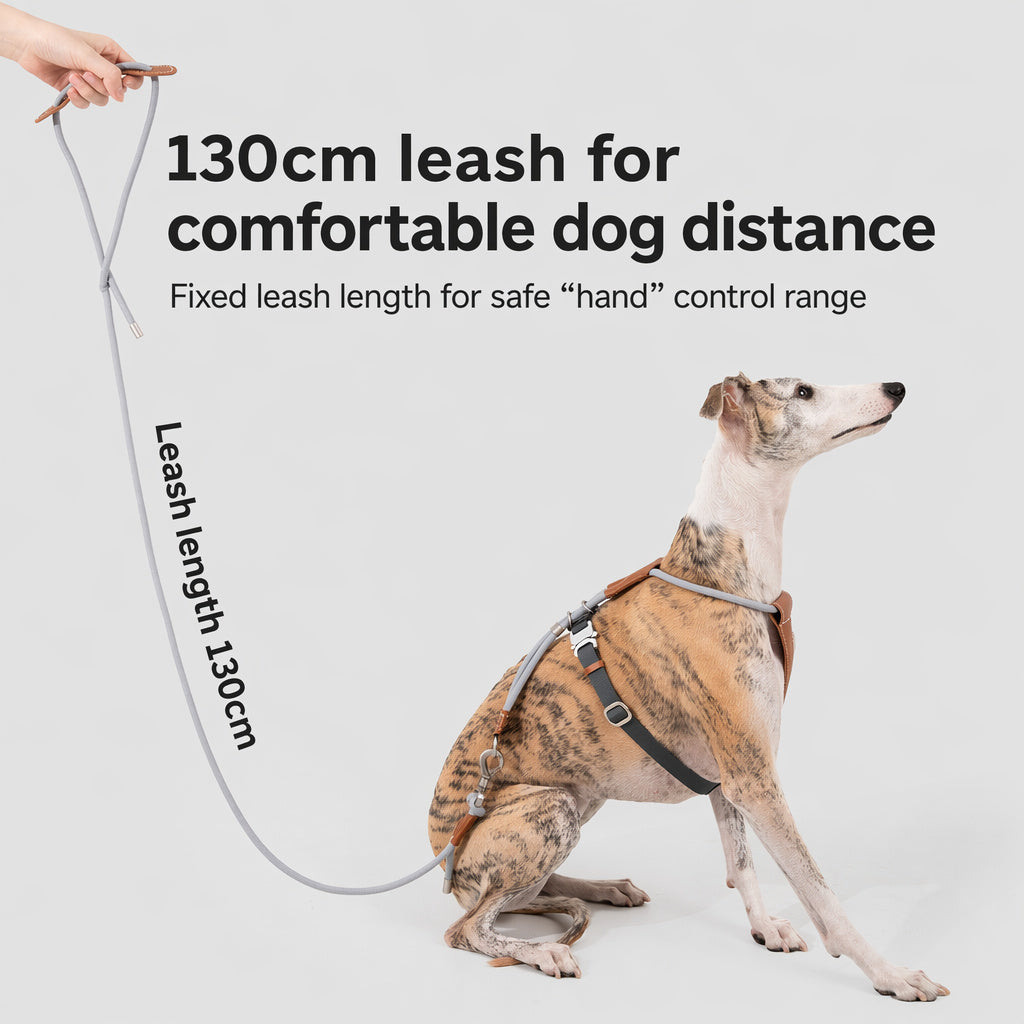 Locking Carabiner Rope Leash