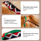 No-pull Rainbow Harness Set