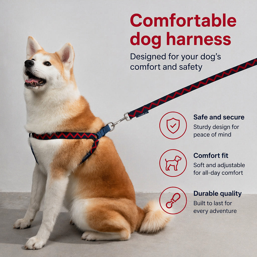 No-pull Rainbow Harness Set