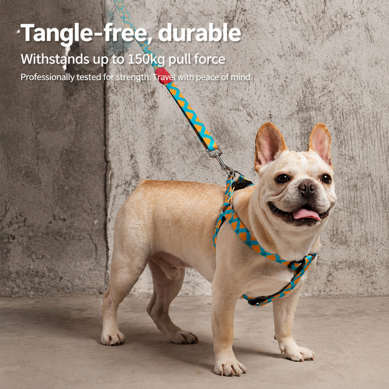Adjustable Climbing-grade Dog Leash