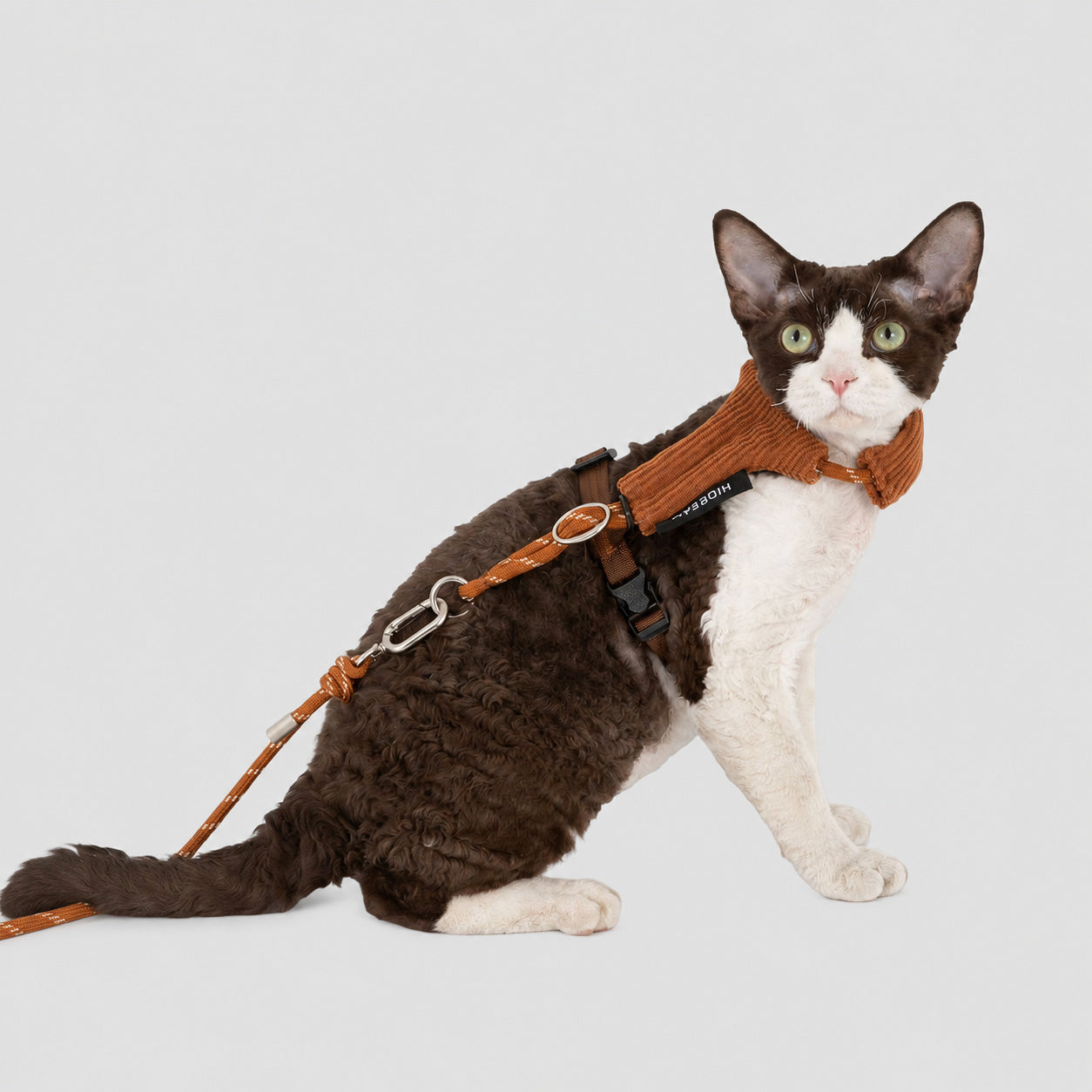 H-frame Harness Leash Set