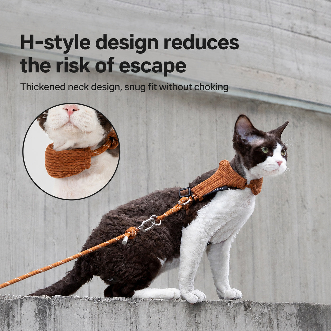 H-frame Harness Leash Set