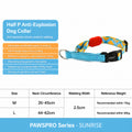 Vibrant Dog Half-collar