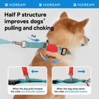 Vibrant Dog Half-collar