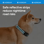 Vibrant Dog Half-collar