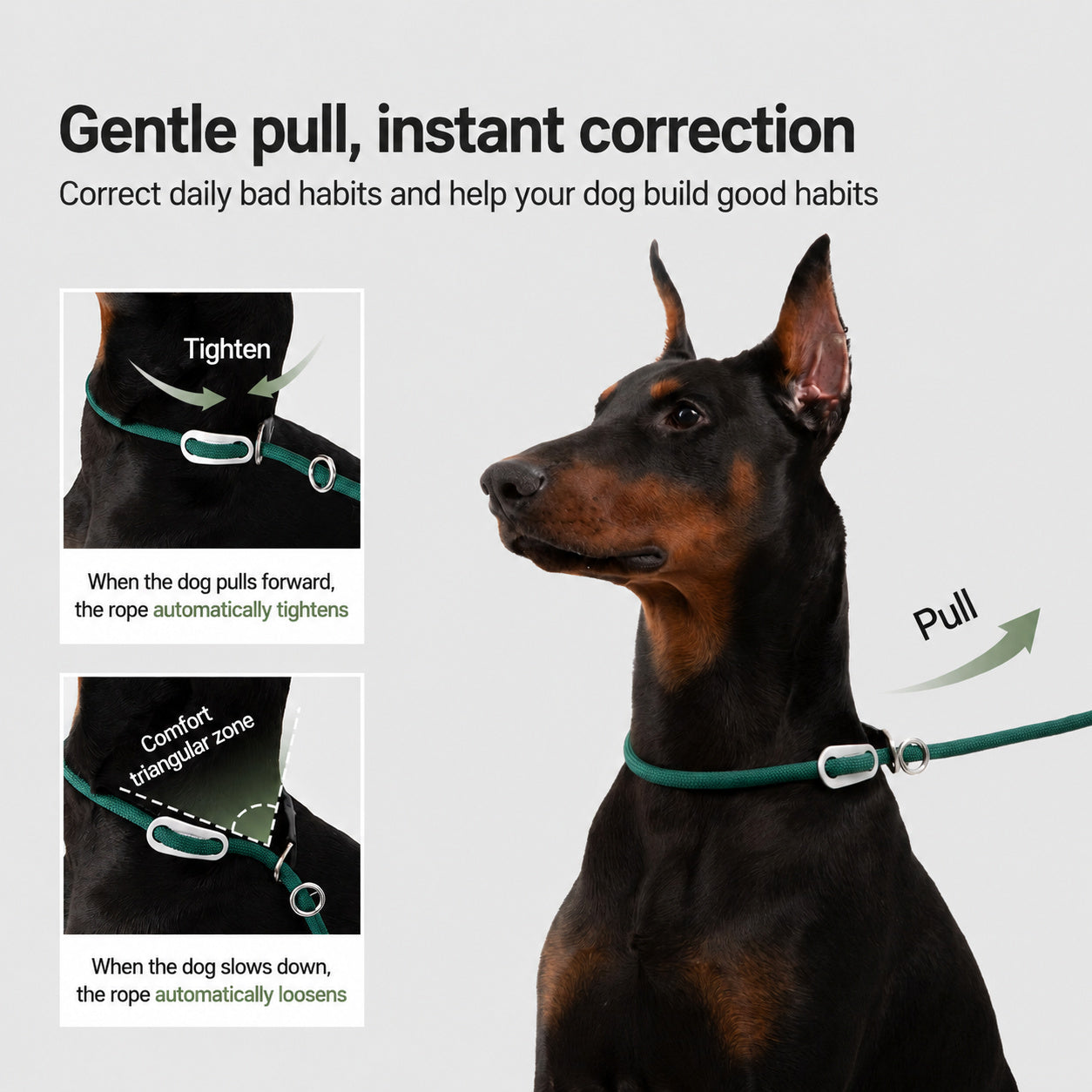 Pine-green Semi-slip Leash Collar