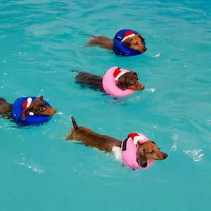 Inflatable Dog Recovery Ring