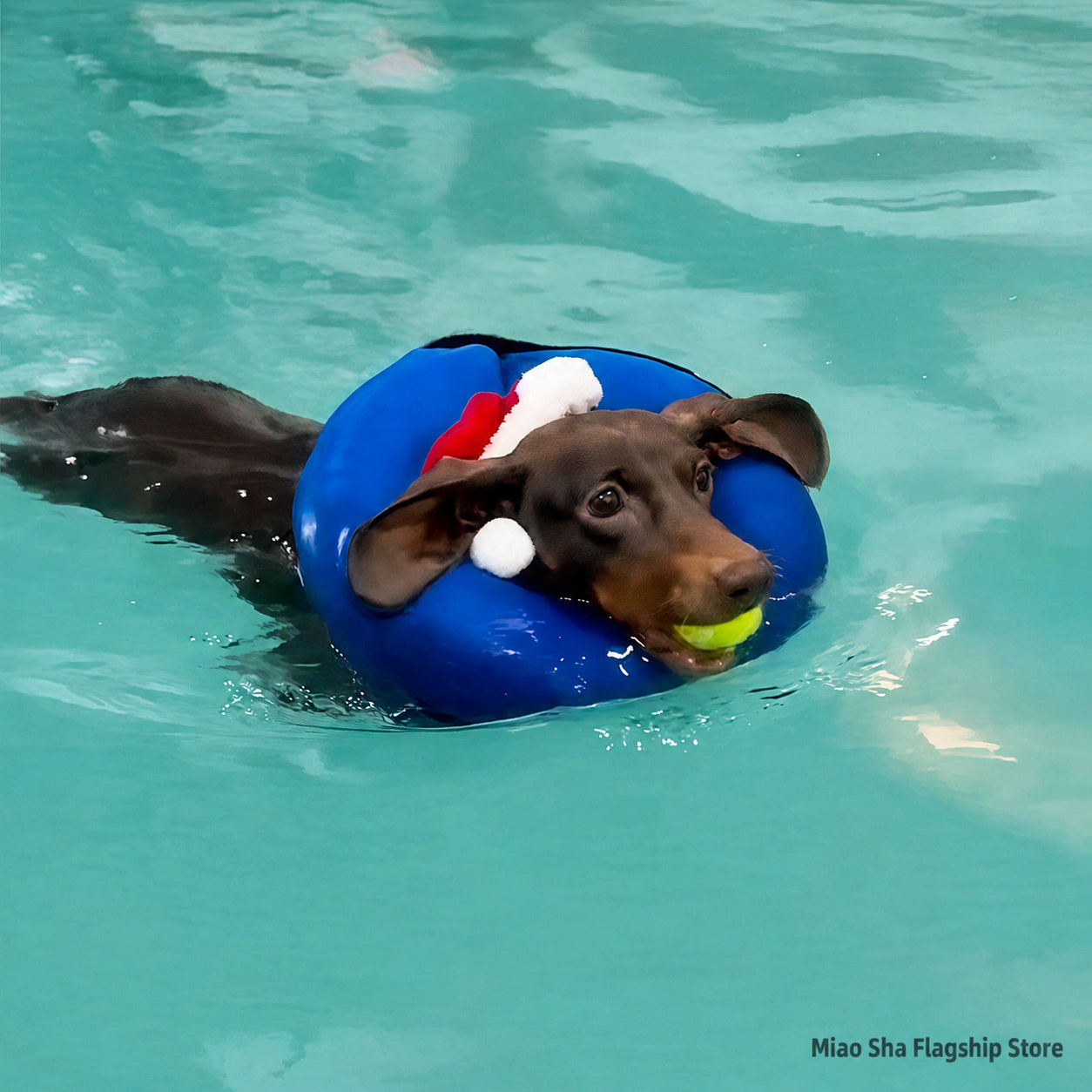 Inflatable Dog Recovery Ring