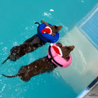 Inflatable Dog Recovery Ring